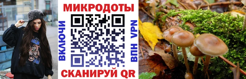Галлюциногенные грибы прущие грибы  Курлово 
